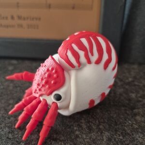 Red and White Nautilus Figurine
